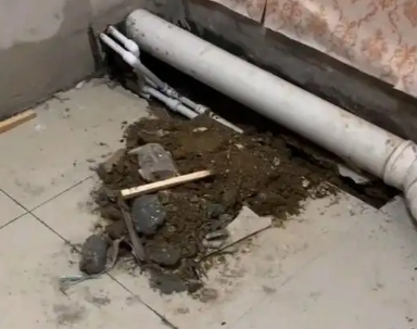 齐齐哈尔市卫生间漏水检测哪家好
