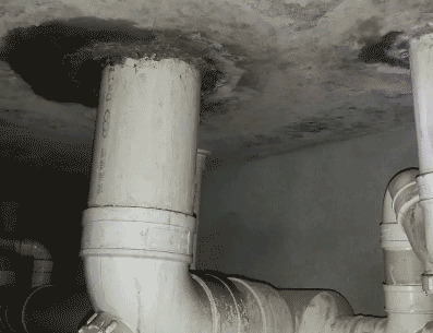 齐齐哈尔市卫生间漏水维修公司为您专业分享下齐齐哈尔市卫生间测漏水的信息